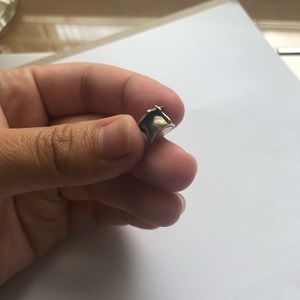 Chameleon graduation cap